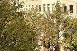 Property thumbnail 34