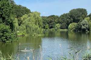 Property thumbnail 13