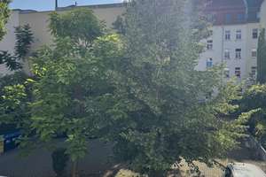 2 Raumwohnung, EBK, Balkon, Stellplatz – Bautzmannstraße 3, 4315 Volkmarsdorf, Leipzig – Vorschaubild 6