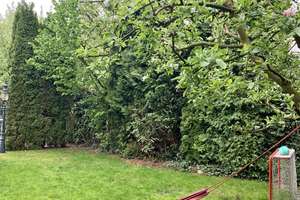 Property thumbnail 9