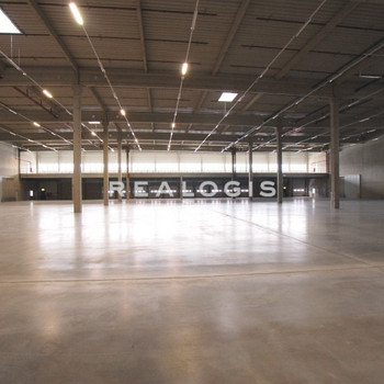 Neubau: ca. 5.000 qm Lager- / Logistik- / Produktionsfläche | Rampe + ebenerdig | ca. 10,50 m UKB