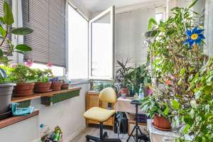 Charmante 3-Zimmer-Etagenwohnung mit Wintergarten – Bundesallee 182, 10717 Wilmersdorf, Berlin – Vorschaubild 2