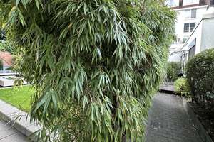 Property thumbnail 17