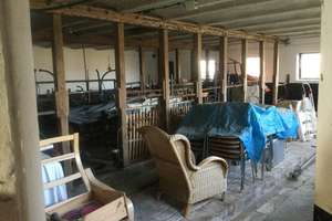 Resthof mit Land zur Pferdehaltung – Die vollständige Adresse der Immobilie erhältst du vom Anbieter., 24395 Gelting – Vorschaubild 18