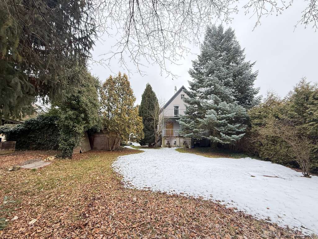 Immobilie in Oettingen i.Bay. - Immo-Love Oettingen- MFH mit 4 WE und 2 Gewerbegaragen und Baugrundstück! - Bild 4