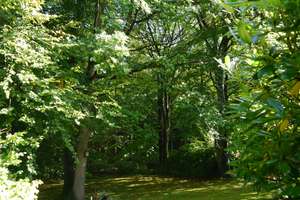 Property thumbnail 43