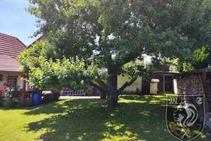 Gemütliches Einfamilienhaus mit großem Garten in Herbrechtingen – Heidenheim (Kreis) – Vorschaubild 1