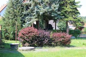 Einfamilienhaus im Tiefschlaf! Moritzburg (OT) – hier ist vieles möglich! – Die vollständige Adresse der Immobilie erhältst du vom Anbieter., 1468 Moritzburg – Vorschaubild 8