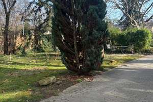 Property thumbnail 19