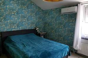 Kleines Juwel Nähe Vaalserquartier – 52074 Vaalserquartier, Aachen – Vorschaubild 6