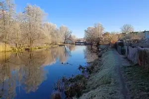 Wassergrundstück: Genießen Sie die Ruhe am Wasser – Güstrow (Kreis) – Vorschaubild 7