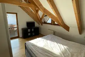 Einfamilienhaus (lichtdurchflutet, 5 Zimmer mit EBK) 2023 modernisiert in Baden-Baden-Steinbach – Steinbach, Baden-Baden, 76534 Baden-Baden – Vorschaubild 49
