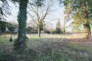 Vielseitig nutzbar: 2 EFHs, parkähnlichem Garten und Baugrundstück – Neuwied (Kreis) – Vorschaubild 17