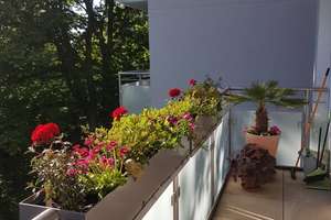 Renovierte, sonnige Wohnung im Haumann-/Pelmanviertel. – Die vollständige Adresse der Immobilie erhältst du vom Anbieter., 45131 Rüttenscheid, Essen – Vorschaubild 19