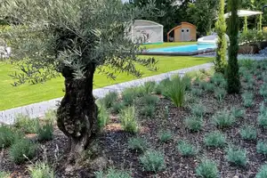 Exklusives Wohnen in Telgte: Luxuriöse Villa mit innovativer Technik und Pool – Warendorf (Kreis) – Vorschaubild 48