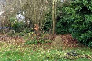KR- West:  Geräumige Altbauwhg. im 1. OG in einer Seitenstraße gelegen, kleines Gartenstück möglich! – Die vollständige Adresse der Immobilie erhältst du vom Anbieter., 47803 Kempener Feld/Baackeshof, Krefeld – Vorschaubild 18