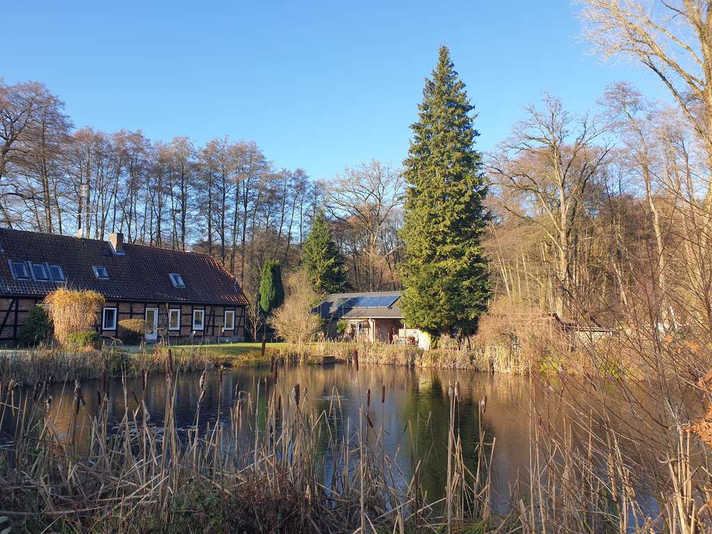 Immobilie in Rehlingen - 2 Wohnungen für Natur Liebhaber 2/3 Doppelhaushälfte 155m² - Bild 0
