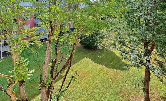 Fitness inklusive: Moderne 4-Zi.-ETW im 4. OG mit Blick ins Grüne &amp; Garage