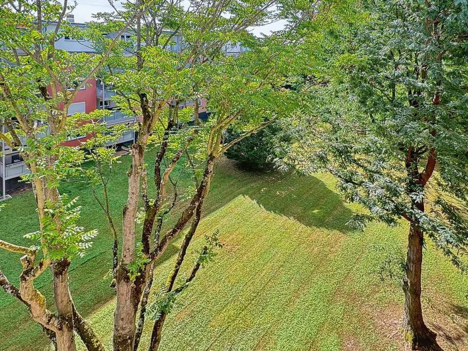 Blick Gemeinschaftsgarten