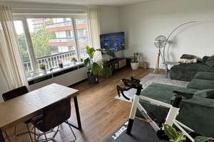 4-Zimmer-Wohnung in Köln Bayenthal – Krohstraße 4, 50968 Bayenthal, Köln – Vorschaubild 13