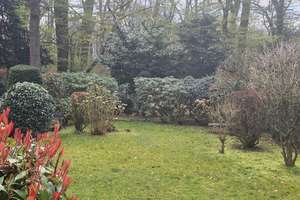 Außergewöhnliches Zweifamilienhaus in sehr guter bevorzugter Wohnlage am Zweckeler Wald – August-Schmidt-Straße 16, 45966 Gladbeck – Vorschaubild 12