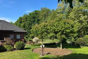 Gepflegt und anspruchsvoll - Bungalow in Forst/Lausitz – Spree-Neiße (Kreis) – Vorschaubild 6