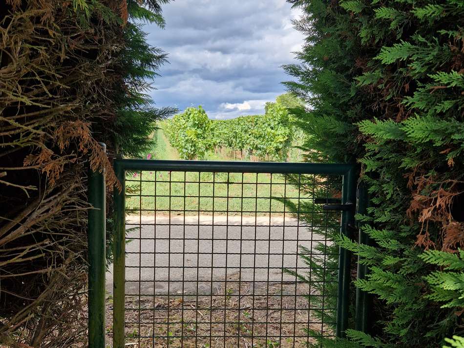 Zugang zum Feldweg