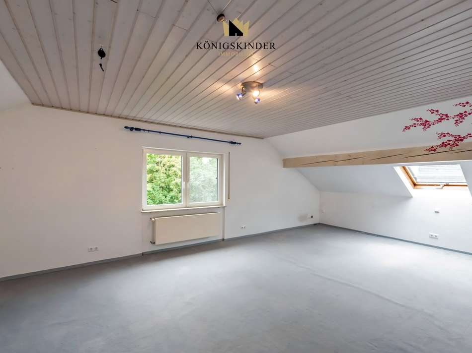 Zimmer DG