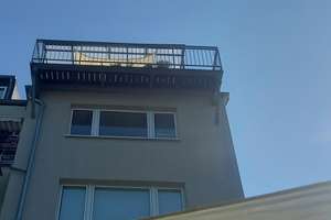 MFH D'dorf Grafenberg, 5 WHG, große freie Gartenwohnung, Sonnengrundstück, von privat – Pöhlenweg 21, 40629 Grafenberg, Düsseldorf – Vorschaubild 15