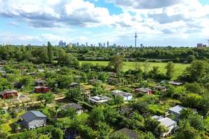 Modernes Reihenmittelhaus mit beeindruckendem Skylineblick auf Frankfurt am Main – 60433 Frankfurter Berg, Frankfurt am Main – Vorschaubild 4