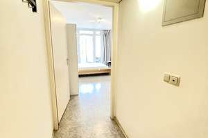 Property thumbnail 9