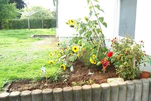 Property thumbnail 8