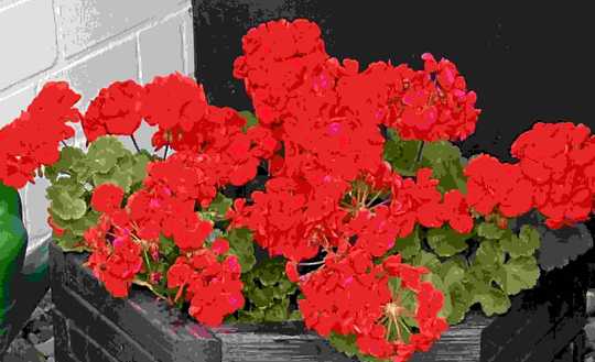 Eintreten und wohlfühlen - wohnen wie im Urlaub