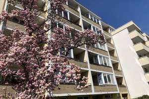 Wohnung nach Modernisierung mit Balkon: Geschmackvolle 1-Zimmer-Wohnung – Stindestraße 27, 12167 Steglitz, Berlin – Vorschaubild 18