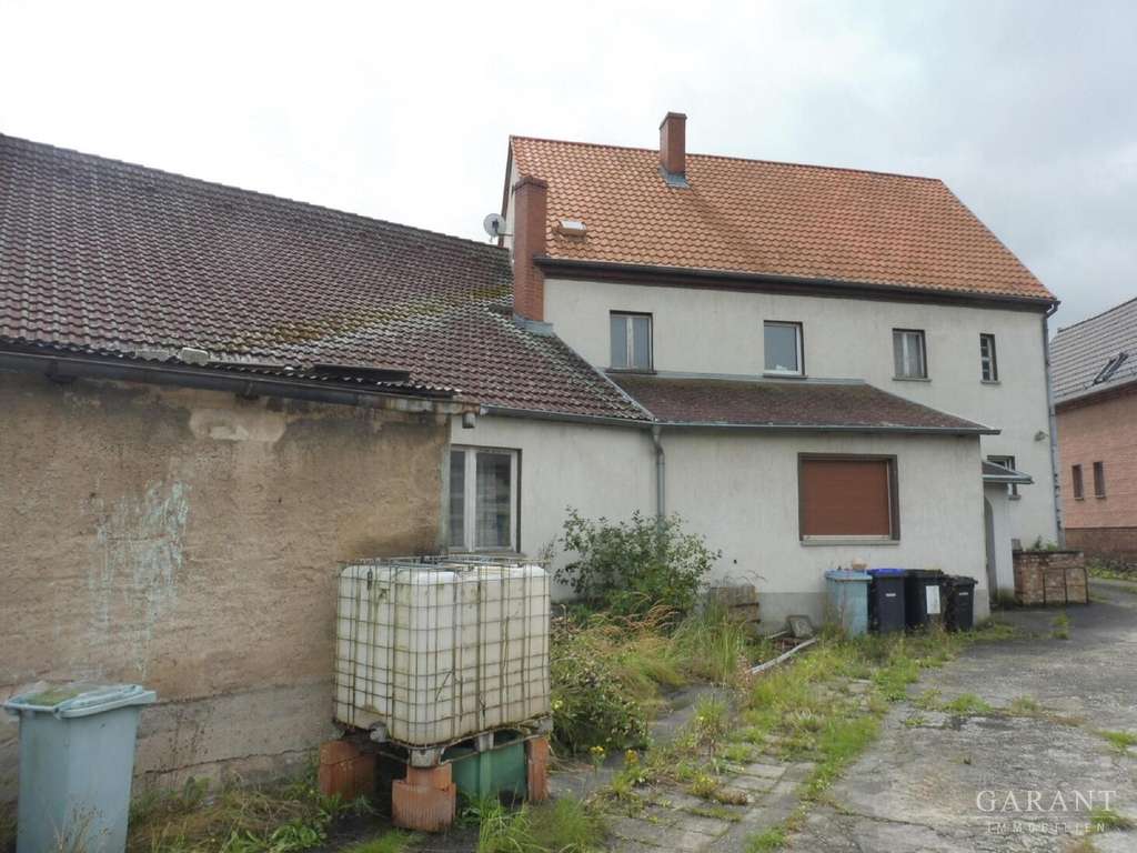 Immobilie in Kemberg - Wohnen am nördlichen Rand der Dübener Heide - Bild 1