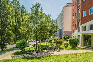 Möblierte Wohnung auf Zeit zu vermieten: – 60486 Bockenheim, Frankfurt am Main – Vorschaubild 38