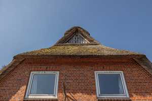 Wohnen unter Reet in ruhiger Dorflage
5 Zimmer Haus zur individuellen Gestaltung – Steinburg (Kreis) – Vorschaubild 21