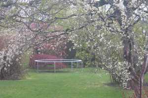 Schöner Garten, ruhige Lage, gute Verkehrsanbindung! – Augsburg – Vorschaubild 8