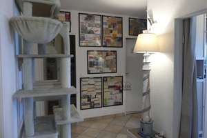 Wittenau! 2 + 2 halbe Zimmer DG-Eigentumswohnung mit schöner Loggia in der 3.OG mit Grünblick – Die vollständige Adresse der Immobilie erhältst du vom Anbieter., 13439 Märkisches Viertel, Berlin – Vorschaubild 9