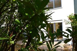 Merton/Riedberg Gehobense 5 Zimmer RMH mit PV-Anlage – 60438 Heddernheim, Frankfurt am Main – Vorschaubild 23