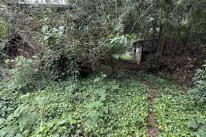 Bungalow mit großem Gartenanteil  – Die vollständige Adresse der Immobilie erhältst du vom Anbieter., 28259 Grolland, Bremen – Vorschaubild 7