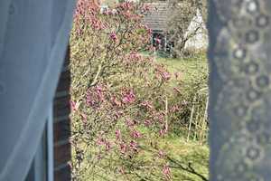 *Das könnte Ihr neuer Hauseingang sein* EFH in Ahnsbeck – Celle (Kreis) – Vorschaubild 24