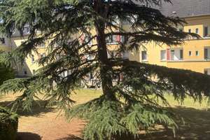 Tolle 2-Zimmer-Wohnung zum 01.10.2026 in Essen-Frohnhausen sucht neue Mieter*in – Hurterstraße 7, 45144 Frohnhausen, Essen – Vorschaubild 22