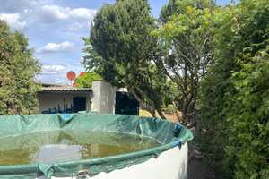 PROVISIONSFREI |133 m² Doppelhaushälfte mit Garage, Kamin, Pool, Teich auf 755m² Grundstück – Berlin – Vorschaubild 9