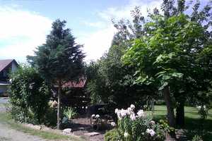 Wunderbarer Ausblick, herrliche Ruhe & Platz: Sofort beziehbares Anwesen zwischen Wäldern und Seen – Dahme-Spreewald (Kreis) – Vorschaubild 55