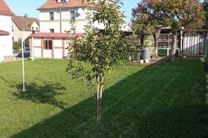 Einziehen & Wohlfühlen – Bautzen (Kreis) – Vorschaubild 8
