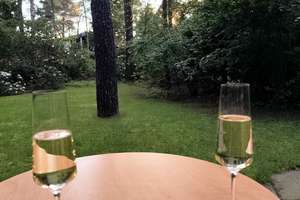 Traumgrundstück und viel Platz in einem barrierefreien Bungalow – Die vollständige Adresse der Immobilie erhältst du vom Anbieter., 38518 Gifhorn – Vorschaubild 8