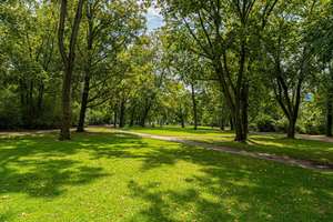 Vermietete 3-Zimmerwohnung nahe Volkspark Humboldthain – Neue Hochstraße 18, 13347 Gesundbrunnen, Berlin – Vorschaubild 13