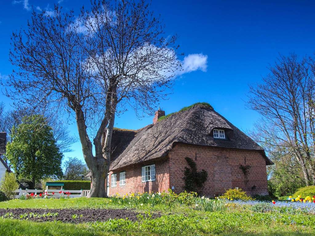 Immobilie in Wenningstedt-Braderup (Sylt) - WATTBLICK: 3-ZIMMERWOHNUNG UNTER REET - Bild 2