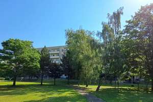 !!!Ideal für Senioren - sanierte 1-Raumwohnung!!! ab Juni – Othrichstr. 30a, 39128 Neustädter Feld, Magdeburg – Vorschaubild 8